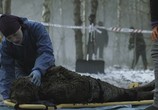 Сериал Тот, кто убивает / Den som dræber (2011) - cцена 3