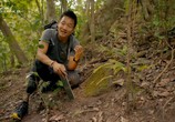 ТВ National Geographic: Затерянные сокровища Майя / Lost Treasures of The Maya (2019) - cцена 6