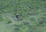 Фильм Подводная любовь / Onna no kappa (2011) - cцена 1